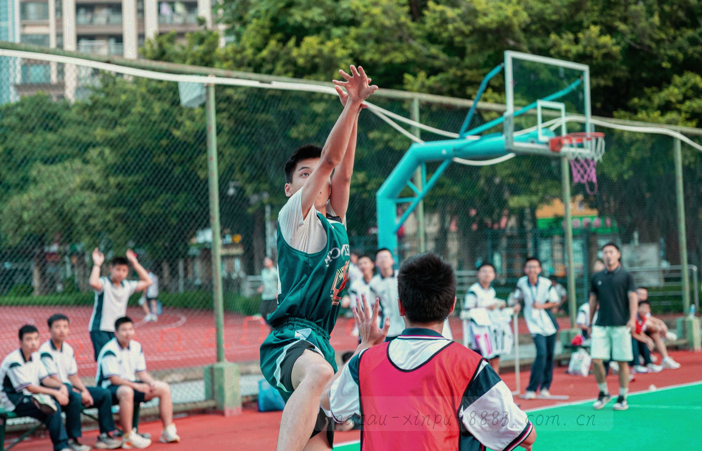 按栏目分层的文件夹与标签特写，标签颜色各不相同
